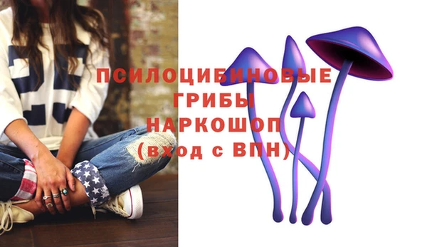 круглые Алзамай