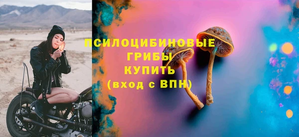СК Алексеевка