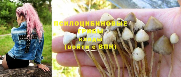 2c-b Алексин