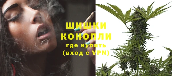 ПСИЛОЦИБИНОВЫЕ ГРИБЫ Абдулино